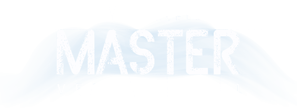 Master Versija 1.1